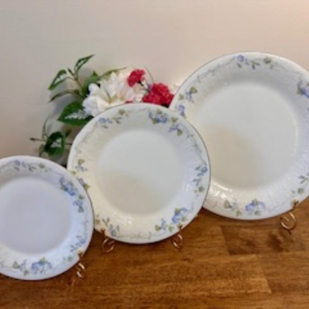 Royal Albert Morning Flower Plate Set Vintage For All Seasons England Blue Flora